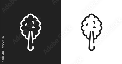 Plain tree icon. Linear black, white icon from poi nature collection. Outline plain tree vector. Thin line symbol isolated on white and black background