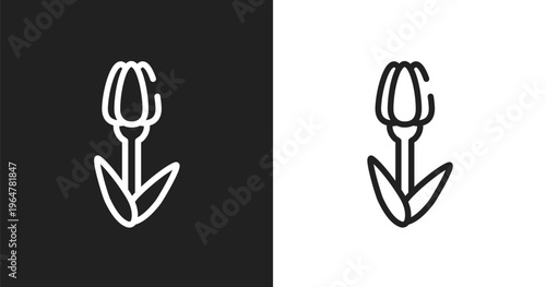Tulips icon. Linear black, white icon from nature lineal pack collection. Outline tulips vector. Thin line symbol isolated on white and black background
