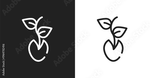 Seeds icon. Linear black, white icon from spring collection. Outline seeds vector. Thin line symbol isolated on white and black background