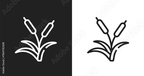 Reeds icon. Linear black, white icon from nature collection. Outline reeds vector. Thin line symbol isolated on white and black background