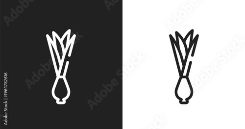 Onion icon. Linear black, white icon from spring collection. Outline onion vector. Thin line symbol isolated on white and black background
