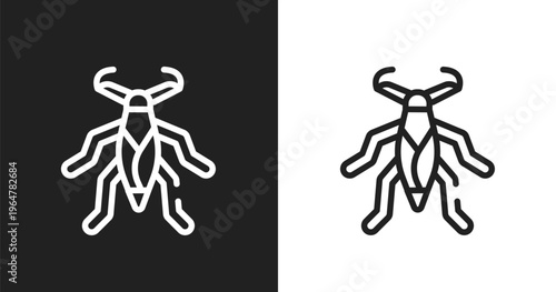 Water scorpion icon. Linear black, white icon from insects collection. Outline water scorpion vector. Thin line symbol isolated on white and black background