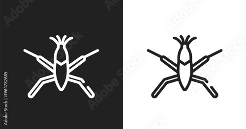 Pond skater icon. Linear black, white icon from insects collection. Outline pond skater vector. Thin line symbol isolated on white and black background