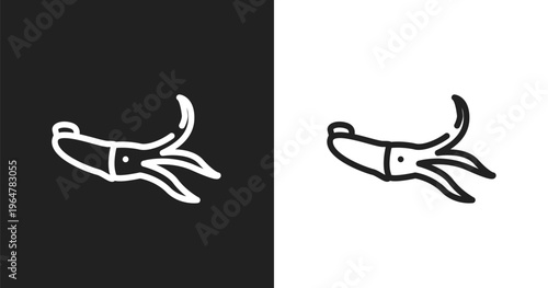 Squid icon. Linear black, white icon from animals collection. Outline squid vector. Thin line symbol isolated on white and black background