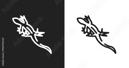 Lizard icon. Linear black, white icon from desert collection. Outline lizard vector. Thin line symbol isolated on white and black background
