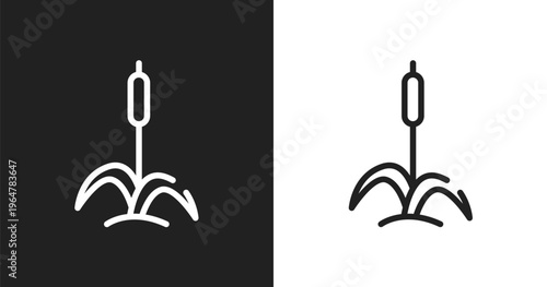 Cattail icon. Linear black, white icon from wildlife collection. Outline cattail vector. Thin line symbol isolated on white and black background
