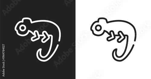 Chameleon icon. Linear black, white icon from animals collection. Outline chameleon vector. Thin line symbol isolated on white and black background