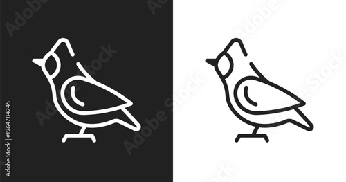 Cardinal icon. Linear black, white icon from nature collection. Outline cardinal vector. Thin line symbol isolated on white and black background