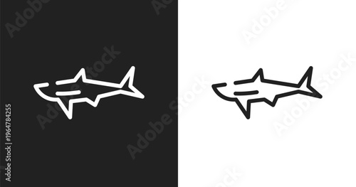 Shark icon. Linear black, white icon from nature collection. Outline shark vector. Thin line symbol isolated on white and black background