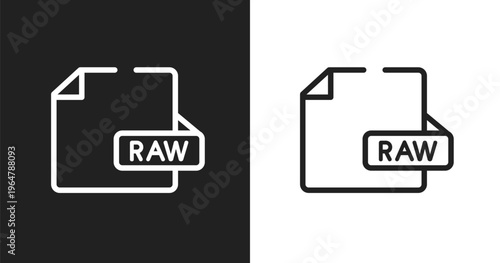 Raw file icon. Linear black, white icon from drone collection. Outline raw file vector. Thin line symbol isolated on white and black background