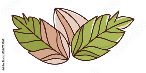 Hand drawn green and brown herbal mint leaves, vector