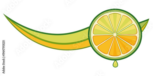 Stylized lime slice with green leaf illustration, vector