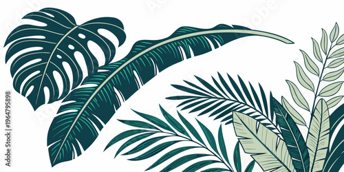 Exotic green jungle foliage and tropical palm leaves, vector