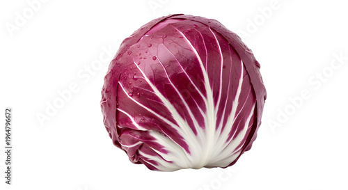 Fresh radicchio head with water droplets, vibrant purple chicory vegetable on white background, raw organic red cabbage leaf texture