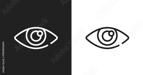 Shiny eye icon. Linear black, white icon from cursors and pointers collection. Outline shiny eye vector. Thin line symbol isolated on white and black background