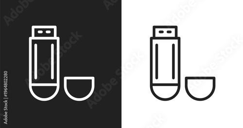 Usb flash drive icon. Linear black, white icon from technology collection. Outline usb flash drive vector. Thin line symbol isolated on white and black background