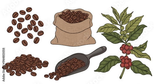 Coffee bean, plant branch, burlap sack, and scoop for coffee store, menu, or packaging design. Hand drawn vector illustration