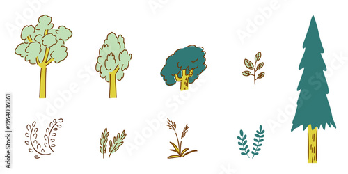 plants, trees, grass_ecosystem, environmental restoration, regenerative, succession,biotope_color｜植物,樹木,草_生態系,環境再生,リジェネラリティブ,遷移_カラー