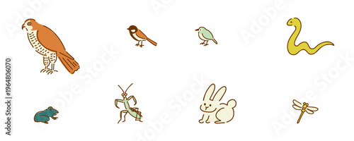 predators, producers, consumers_ecosystem, food chain, ecological pyramid_color｜捕食者,生産者,消費者_生態系,食物連鎖,生態系ピラミッド_線画