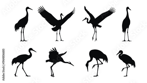 Crane Bird Silhouette Set — Black Vector Illustrations of Cranes in Standing, Dancing, Flying, and Feeding Poses for Nature and Asian Design