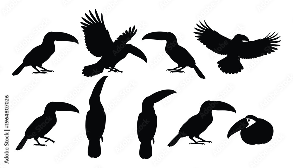 Naklejka premium Toucan Silhouette Set — Black Vector Illustrations of Toucans in Flying, Perching, Resting, and Profile Poses for Tropical Design