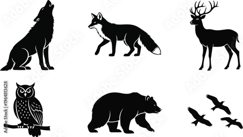 Set of wild animal silhouettes including wolf fox deer owl bear and flying birds for forest design.