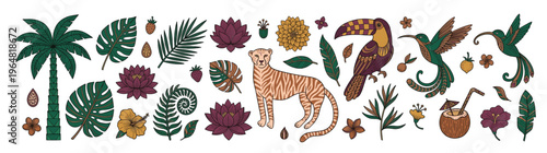 Tropical jungle illustration collection featuring cheetah toucan hummingbird palm tree and exotic leaves for summer design projects isolated on white background for creative branding kit