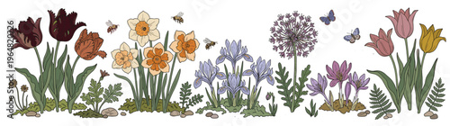 Charming Hand-Drawn Spring Garden Flower Border with Blooming Tulips, Daffodils, Irises, and Alliums, Adorned with Bees and Butterflies, Isolated on White for Seasonal Nature and Botanical Designs