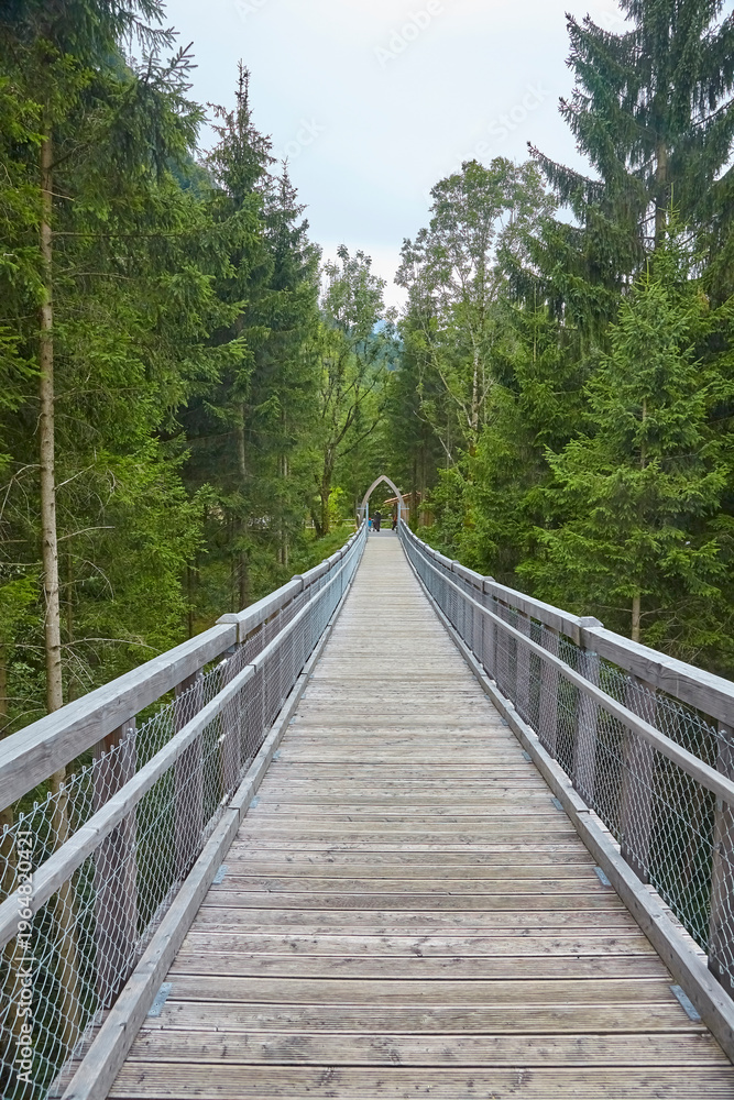 Obraz premium Blick auf den Baumwipfelpfad bei Füssen, Bayern, Deutschland.