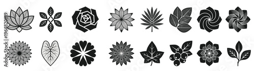 Elegant collection of diverse floral and botanical vector icons and design elements, including stylized flowers, leaves, and nature symbols, perfect for branding and decoration, isolated on white