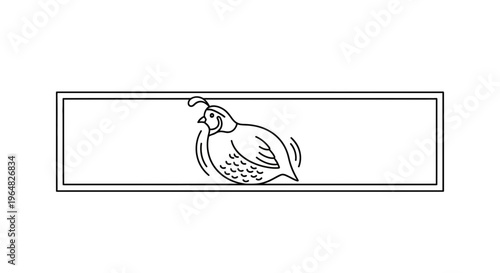 Minimalist black and white line art illustration featuring a charming quail with a distinctive