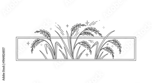 Stylized line art illustration of vibrant rice stalks with mature grains in a neat rectangular frame