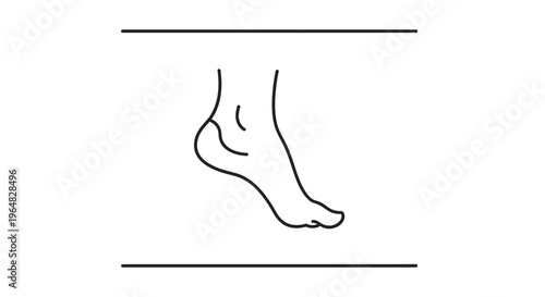Minimalist linear depiction of a human foot showcasing anatomical form and movement potential