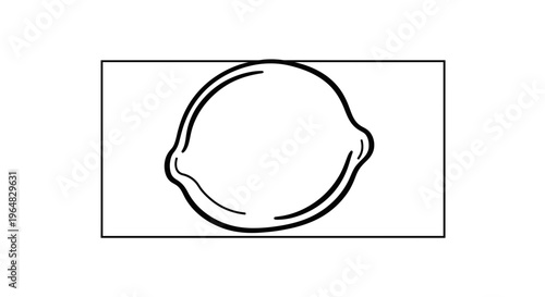 Minimalist black and white line art depicting the crisp outline of a fresh citrus fruit for