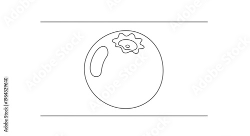 Minimalist Line Art Drawing of a Single Fresh Blueberry Fruit on a Clean Background