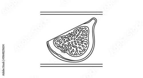Minimalist black outline illustration of a fresh fig slice showcasing its distinctive seeds and