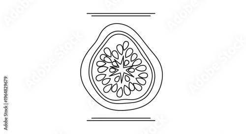 Minimalist one line illustration of a fresh fig fruit showing its intricate seeds