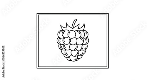 A minimalist outline drawing of a delicious raspberry fruit in a clean black and white style