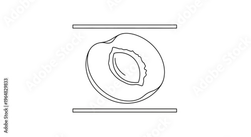 Minimalist monochrome outline drawing of a halved ripe stone fruit with visible kernel