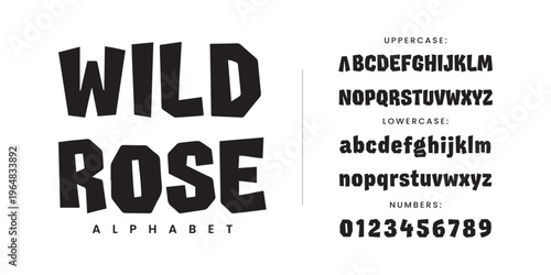 Wild Rose Decorative Display Alphabet Bold Hand Drawn Font For Creative Poster Design Branding And Typography Projects