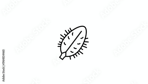 Hand Drawn Outline of a Spiky Seed Pod or Fruit