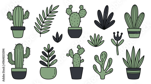 Collection of Various Cactus Plants. Vector Illustrations. EPS Editable