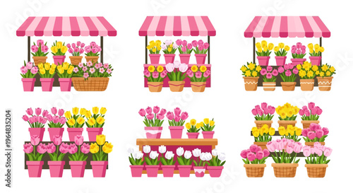 Colorful Potted Flowers on Display. Vector Illustrations. EPS Editable