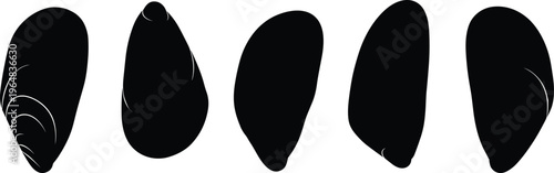 Mussel silhouette vector set. Marine mollusk collection with smooth shell shapes and variations. Black coastal elements for seafood design, ocean themes and nature illustration.