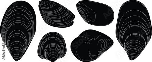 Mussel shell silhouette collection. Marine mollusk vector set with detailed textures and smooth forms. Black coastal elements for seafood design, ocean themes and nature illustration.