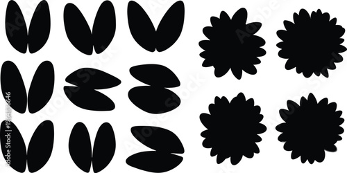Mussel and shell silhouette vector set. Marine mollusk shapes with open and closed shells. Black coastal elements for seafood design, ocean themes and nature illustration.