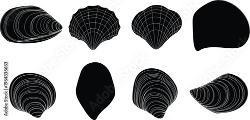 Mussel shell silhouette vector set. Marine mollusk collection with textured and smooth shell shapes. Black coastal elements for seafood design, ocean themes and nature illustration.