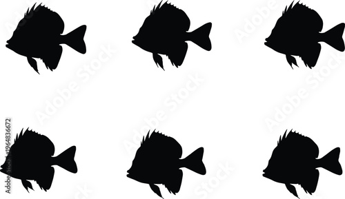 Hatchetfish silhouette vector set. Deep sea fish collection with detailed fins and compact body shapes. Black marine life illustrations for ocean wildlife and underwater design.