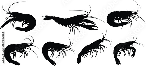 Krill silhouette collection. Marine crustacean vector set with curved bodies and detailed antenna. Black ocean wildlife illustrations for underwater ecosystem, food chain and biology design.