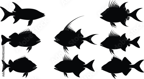 Hatchetfish silhouette collection. Deep sea fish vector set with unique body shapes and fin variations. Black marine life illustrations for ocean wildlife and underwater design.